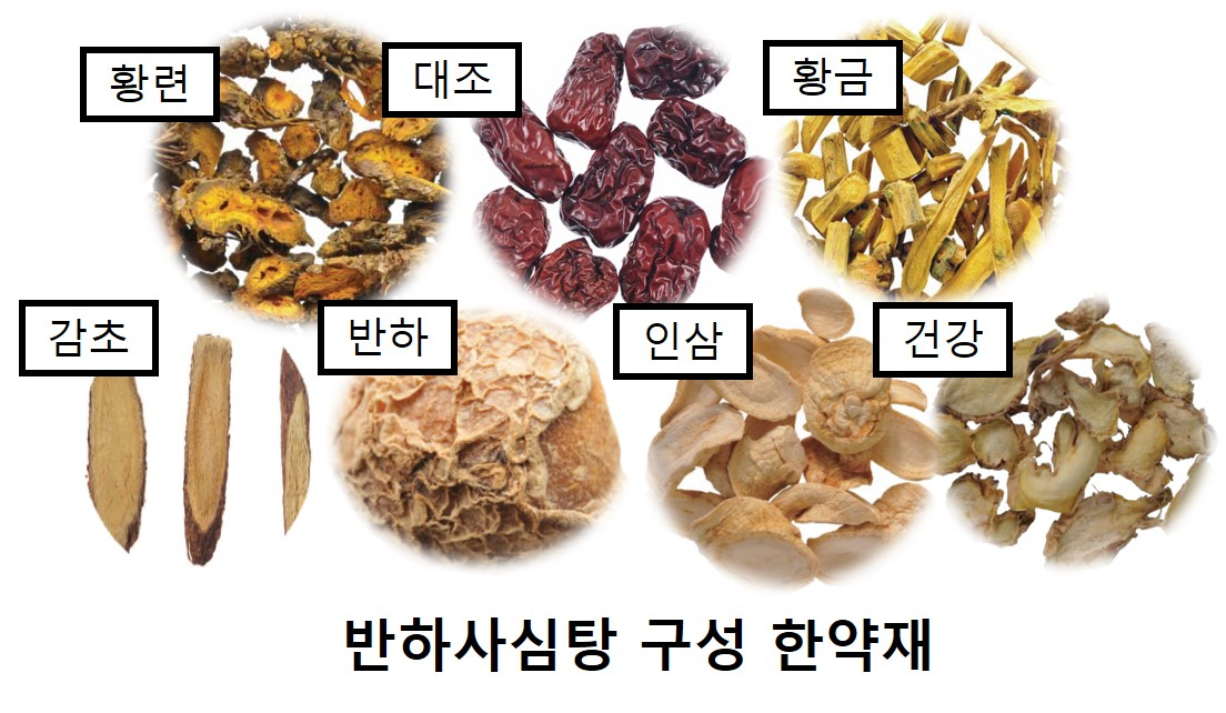 반하, 황금, 인삼, 감초, 황련, 건강, 생강, 대조로 구성된 한약처방으로, 기능성 소화불량, 만성 위축성 위염 등 주로 소화기계통의 질환 치료를 위해 사용한다.[한국한의학연구원 제공]