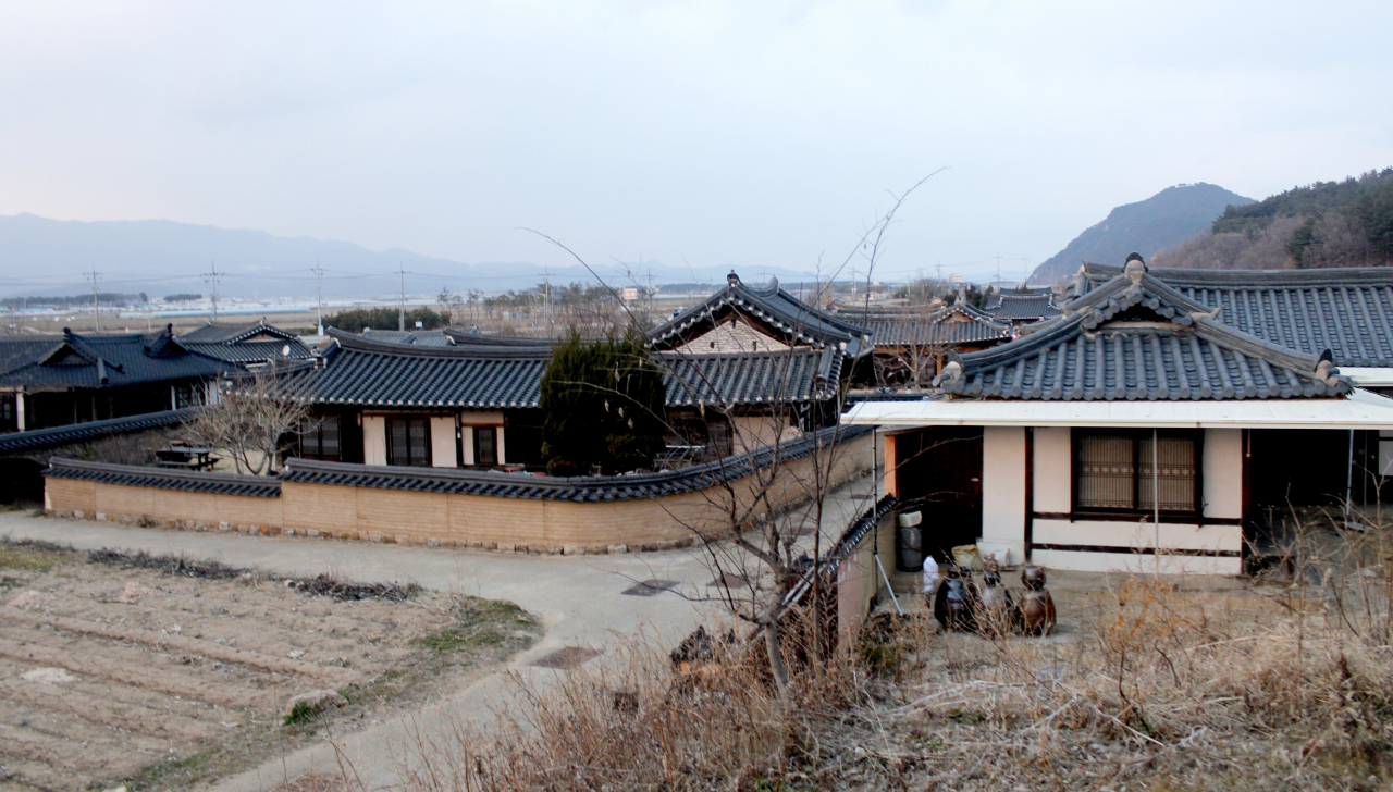 괴시마을 근경. 전형적인 양반촌이다.