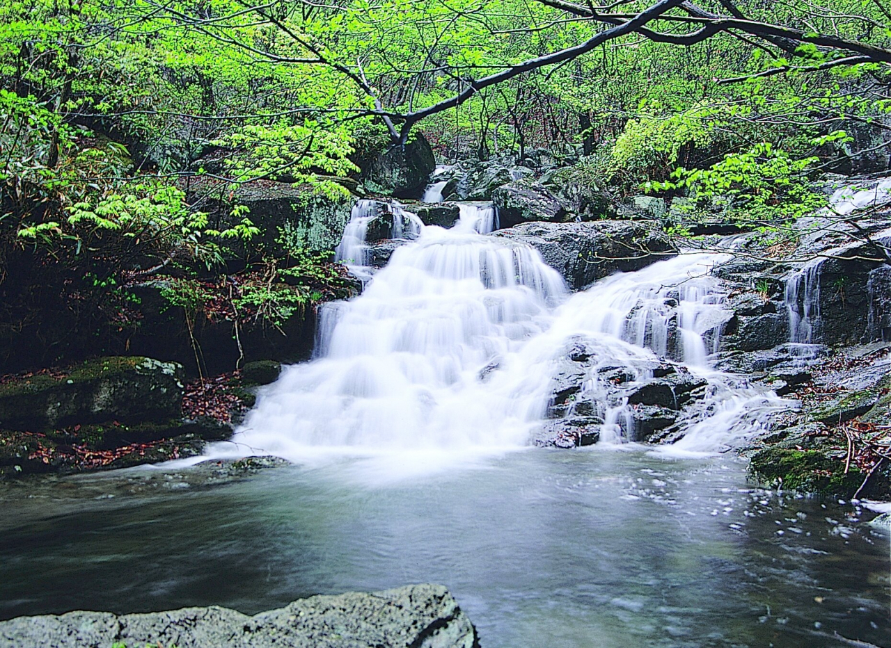 장성 남창계곡