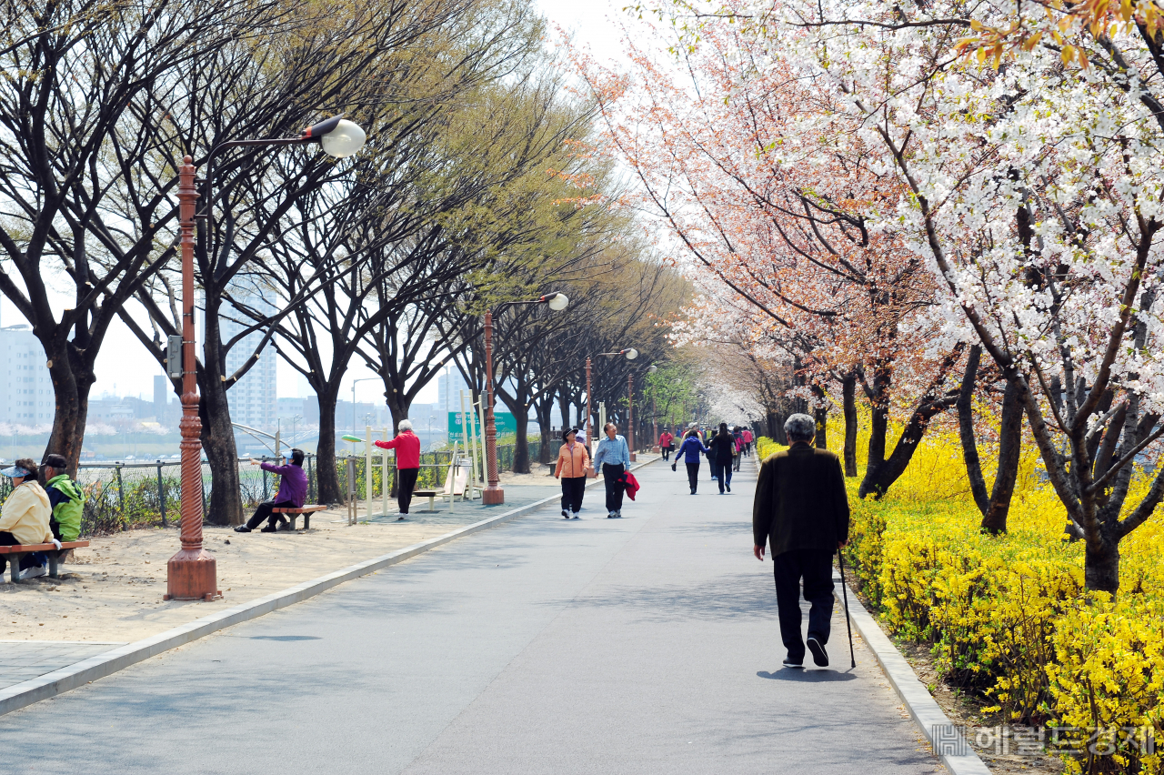 중랑천 길. [동대문구 제공]