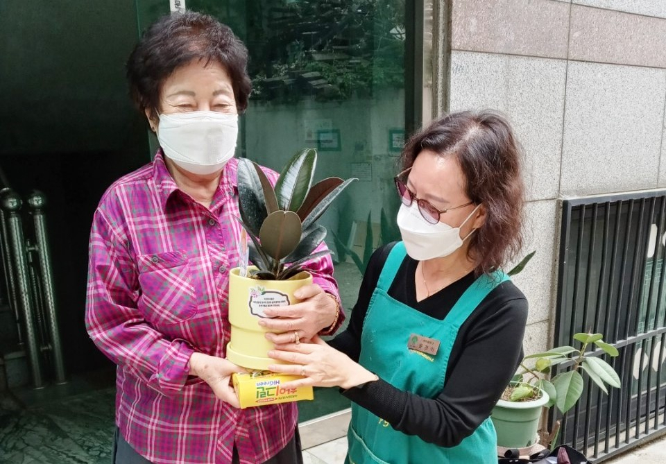 용산구 관계자가 지난 4일 어르신 가구를 방문해 반려식물을 제공하고 주의사항을 안내했다. [용산구 제공]