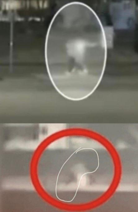 이달 5일 오후 늦게 한 온라인 커뮤니티에 올라온 사진. 작성자는 ‘정민씨가 친구에게 업히는 것으로 보인다’는 취지의 글을 남겼다. [온라인 커뮤니티 캡처]