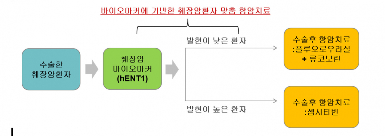 분당서울대병원 제공