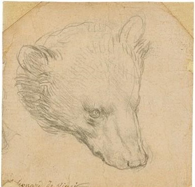 레오나르도 다빈치의 작품 '곰의 머리'(Head of a bear) [연합, 로이터]