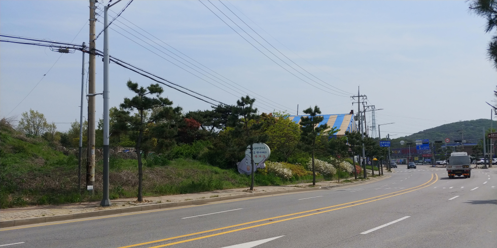 안산시, ‘불법현수막 없는 대부도’ 만든다(정비 후)[안산시 제공]