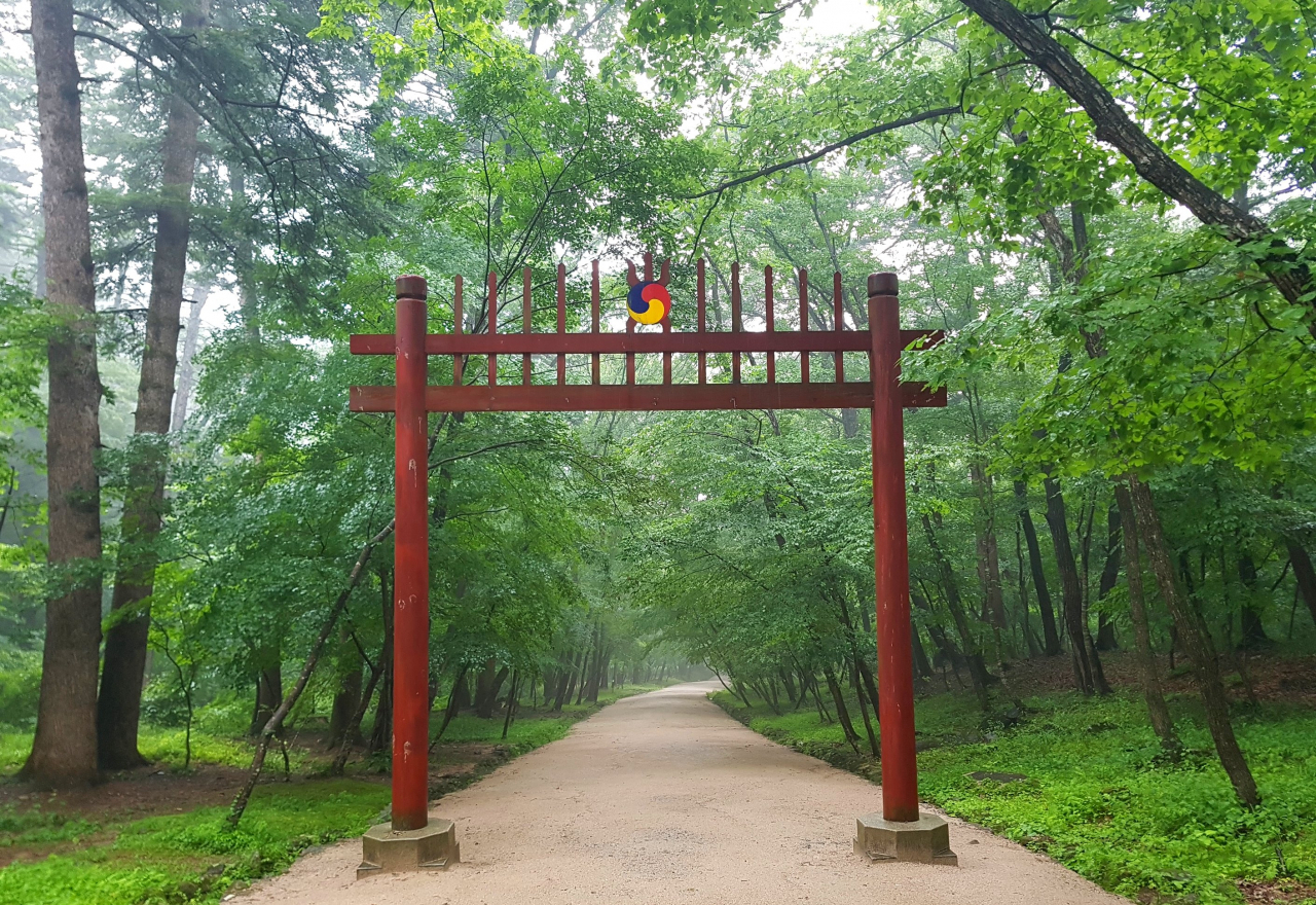 광릉의 복자기 나무숲길은 보다 세심한 정비를 거쳐 6월1일부터 개방한다.