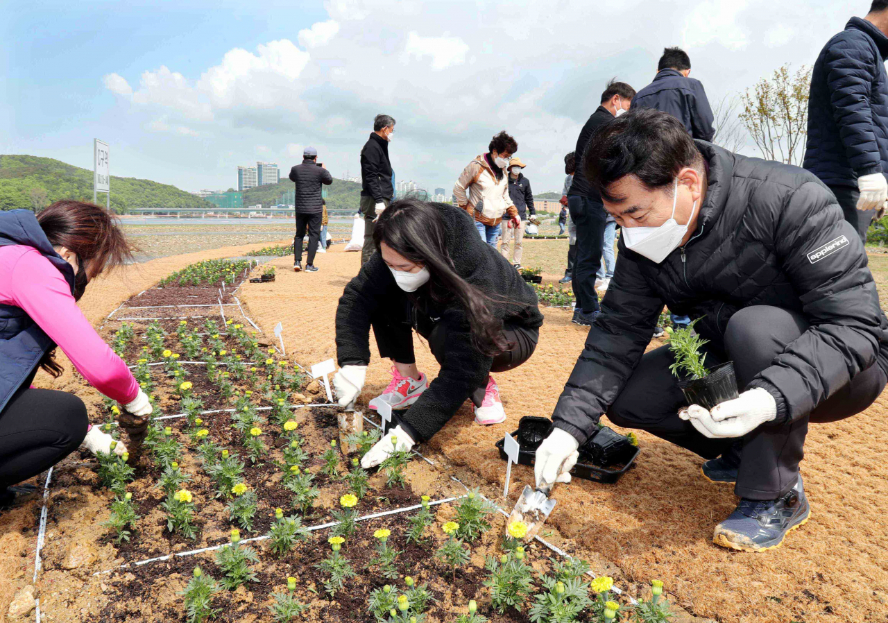 백군기 용인시장이 시민들과 함께 기흥호수공원 물빛정원에 메리골드를 심고 있다.[용인시 제공]
