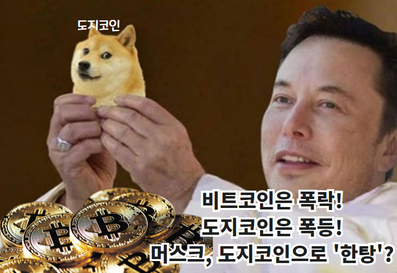 [일론머스크 테슬라CEO 트위터 캡처]