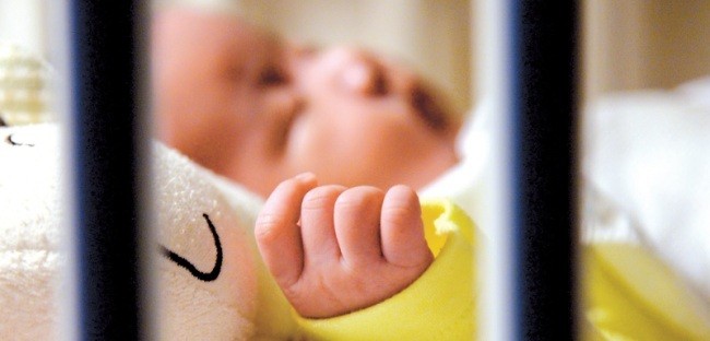 출생신고 제때 안 해 2만명 과태료…“막을 방법이 없다” [유령아이 리포트]