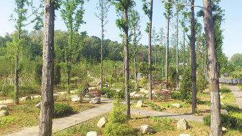 서울 구로구의 푸른수목원. [서울시 제공]