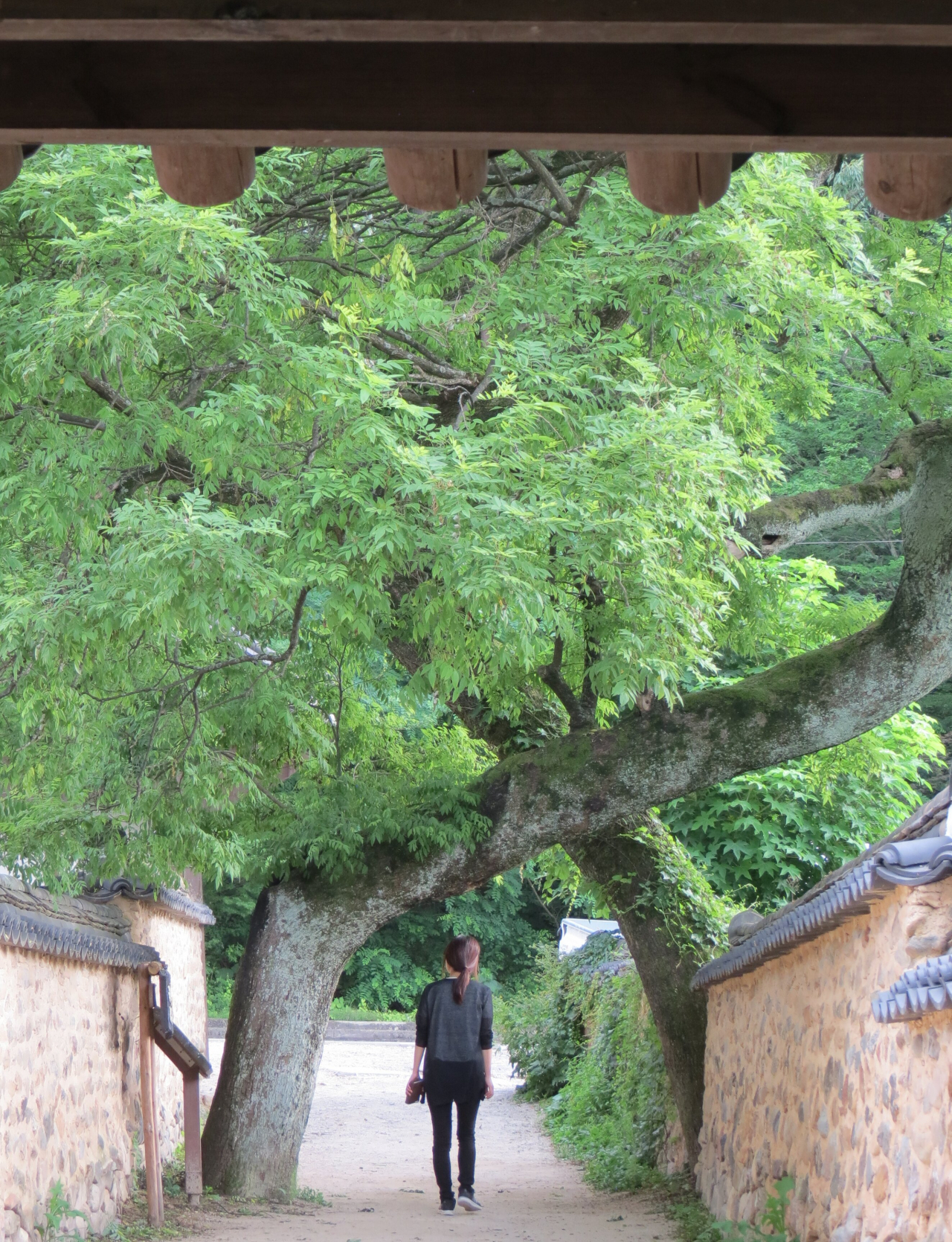 경남 산청 남사예담촌은 반촌의 공동체 문화를 여행자와 공유하는 프로그램을 운영하고 있다.