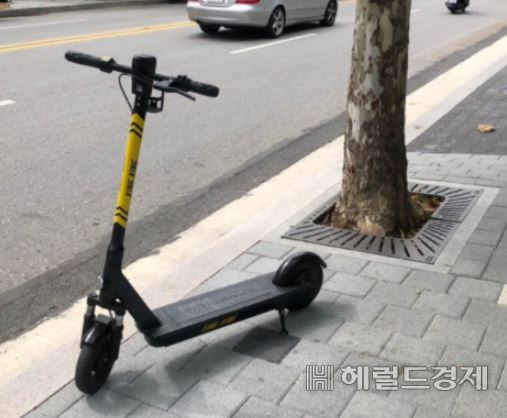 일반인들이 타고 난 뒤 방치된 전동킥보드.