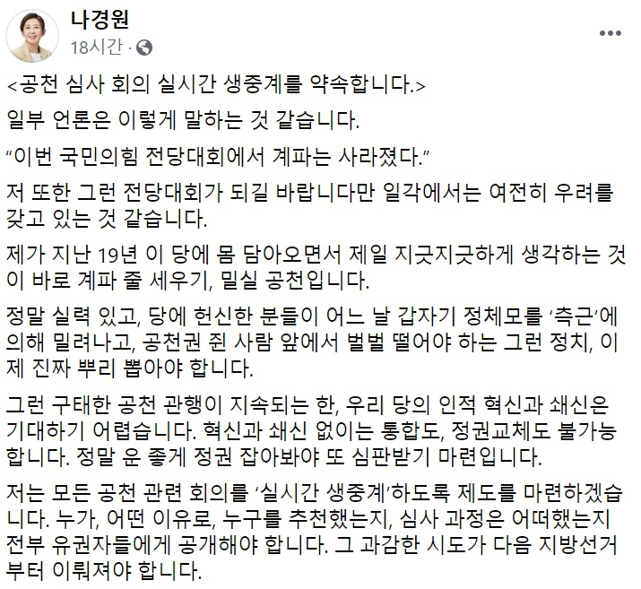 나경원 국민의힘 전 의원 페이스북 일부 캡처.