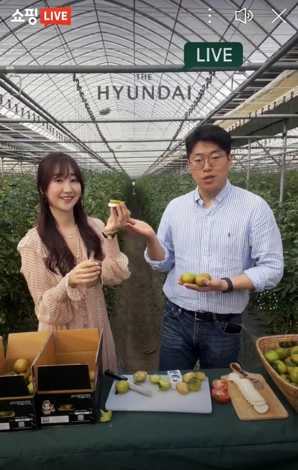 지난 3월 네이버 쇼핑라이브를 통해 시범 방송을 진행한 '현대식품관 산지Live' 방송 모습 [현대백화점 제공]