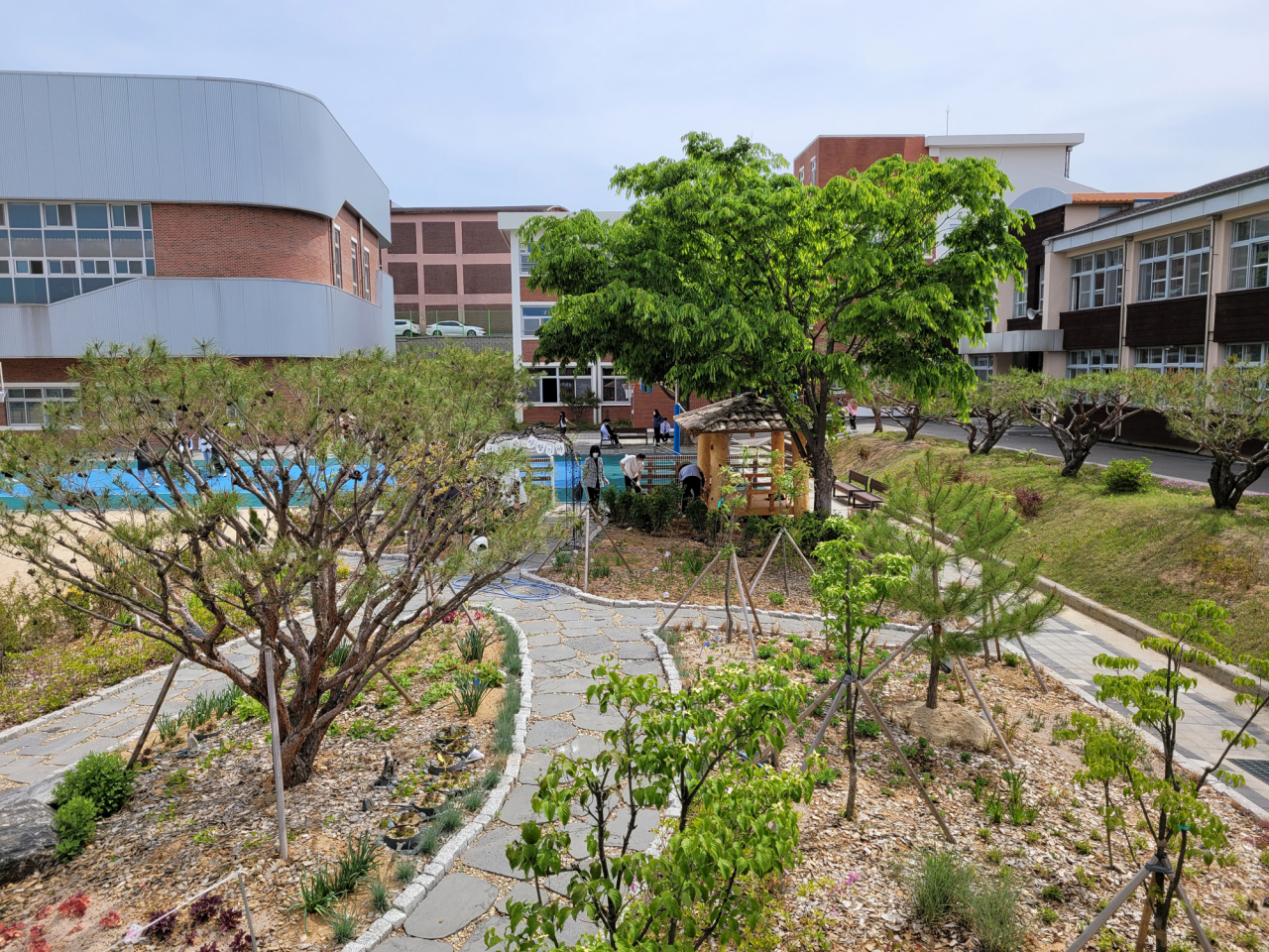 충북 증평정보고 학교숲