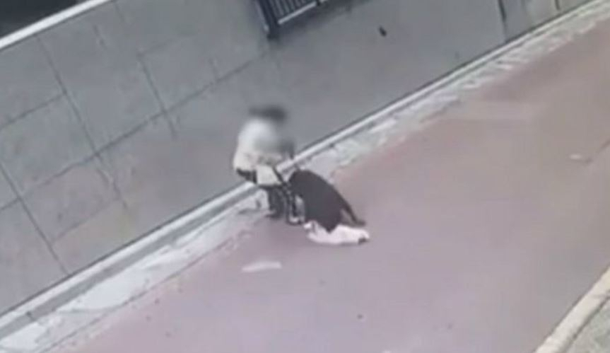 지난해 7월 25일 서울 은평구 불광동의 한 주택가에서 반려견과 함께 산책을 하던 시민이 대형견 로트와일러의 습격을 당하는 모습. [연합뉴스TV 방송화면 캡처]
