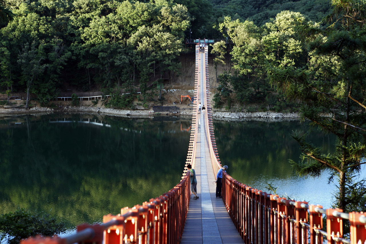 평화역사이야기 여행 코스 중 파주 마장호수 출렁다리