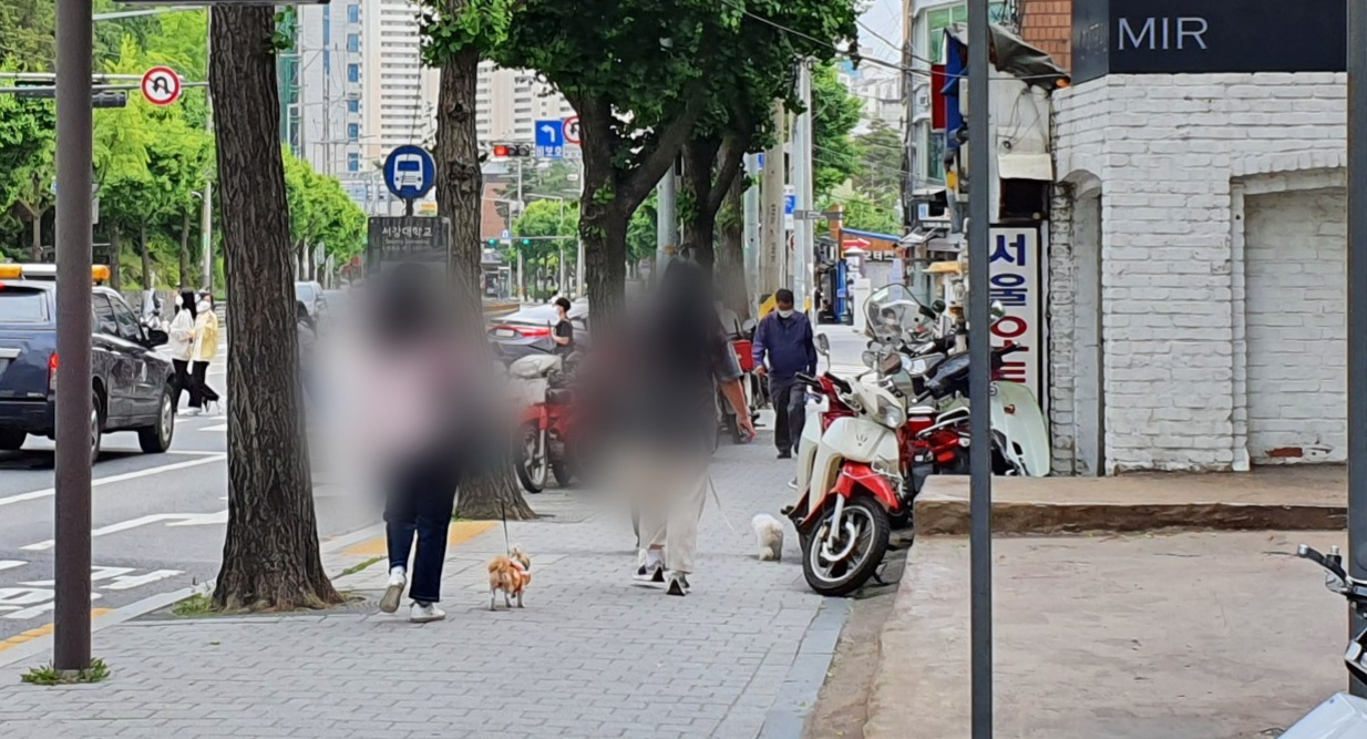 지난 26일 서울 마포구에서 한가롭게 개와 산책하는 시민들의 모습. 김지헌 기자/raw@heraldcorp.com