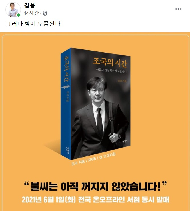 김웅 국민의힘 의원 페이스북 일부 캡처.