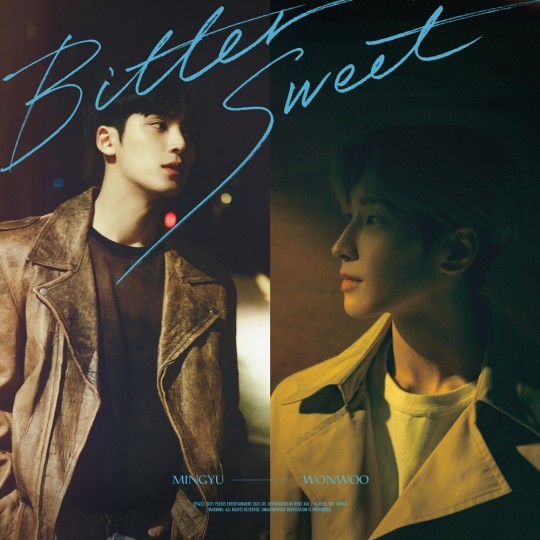 (Credit: Pledis Entertainment)