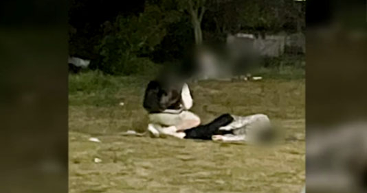 故손정민 씨 일행 목격자가 경찰에 제출한 사진. [연합뉴스TV 방송화면 캡처]