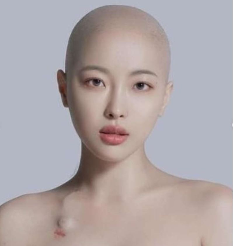 [아이스크리에이티브 제공]
