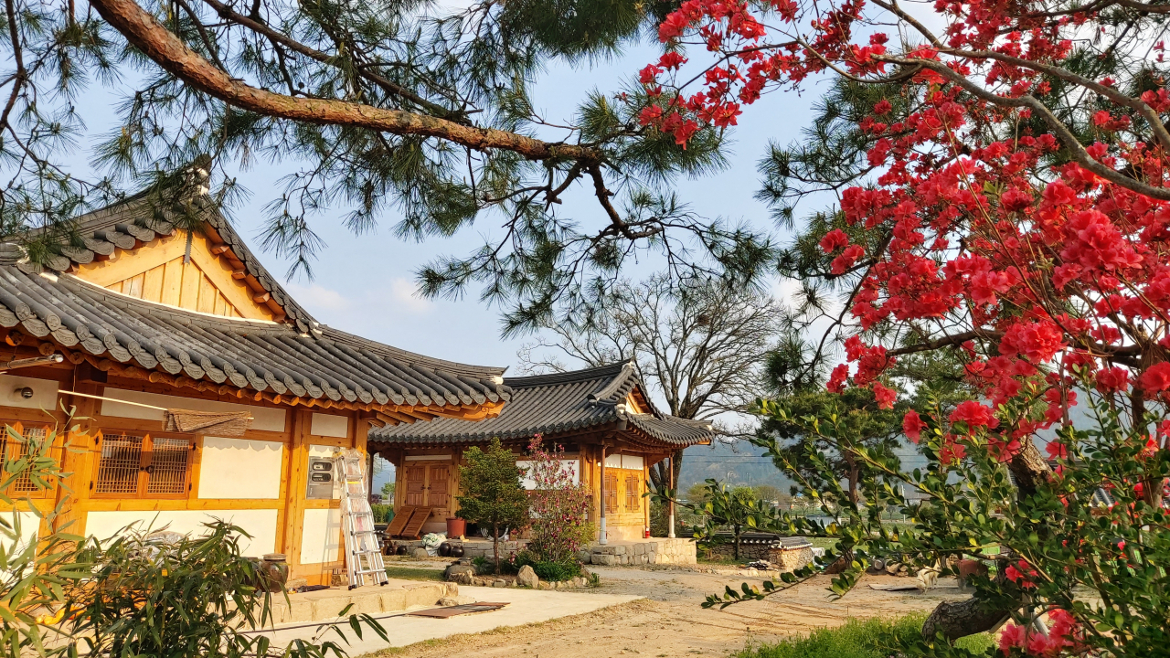 철쭉이 곱게 핀 화순 해주최씨 종가