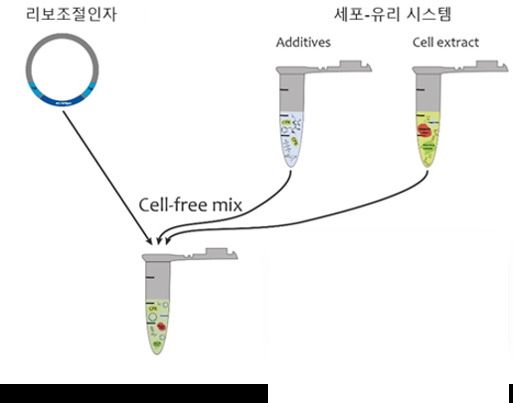 구제역 바이러스 진단을 위한 리보조절인자와 리포트 단백질을 발현하기 위한 세포-유리 시스템 모식도.[안전성평가연구소 제공]