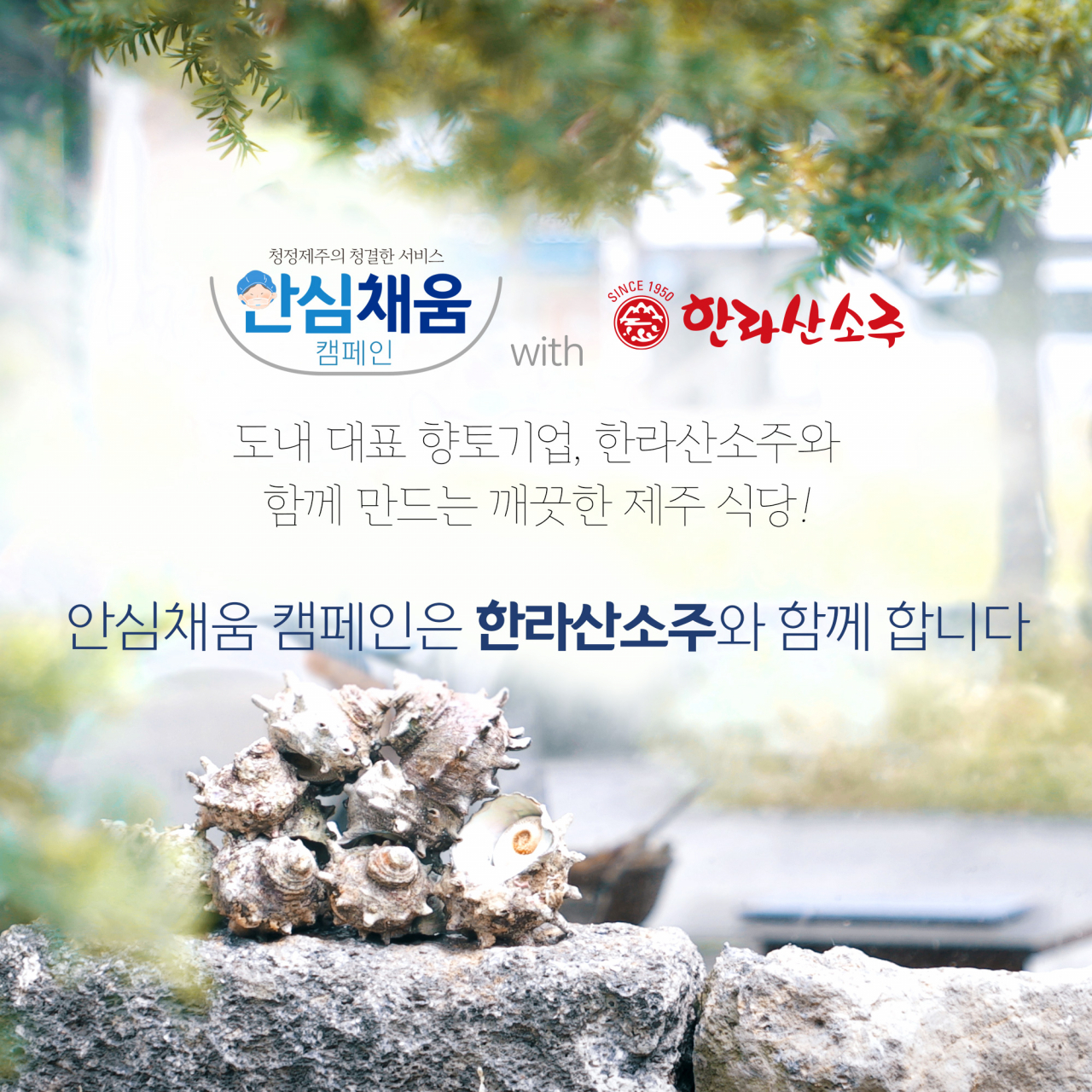 안심채움 공공캠페인에는 육지사람들이 문득 문득 그리워하는 한라산소주가 함께 한다.