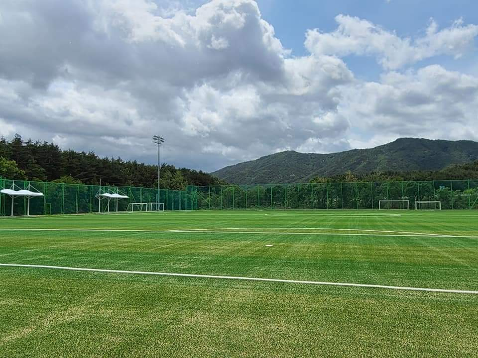 인조잔디 교체