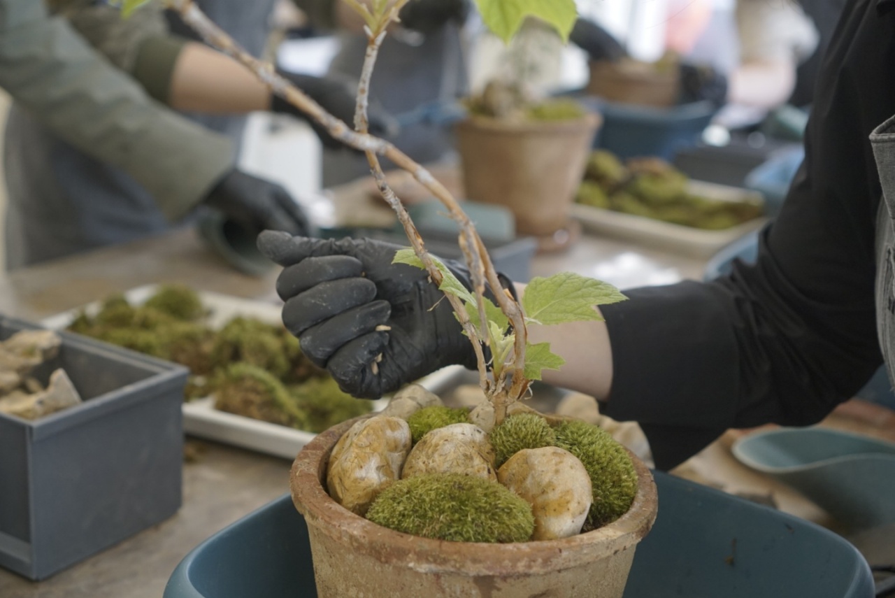 People attend a gardening class at Studio Conte in Gyeonggi Province in May. (Studio Conte)