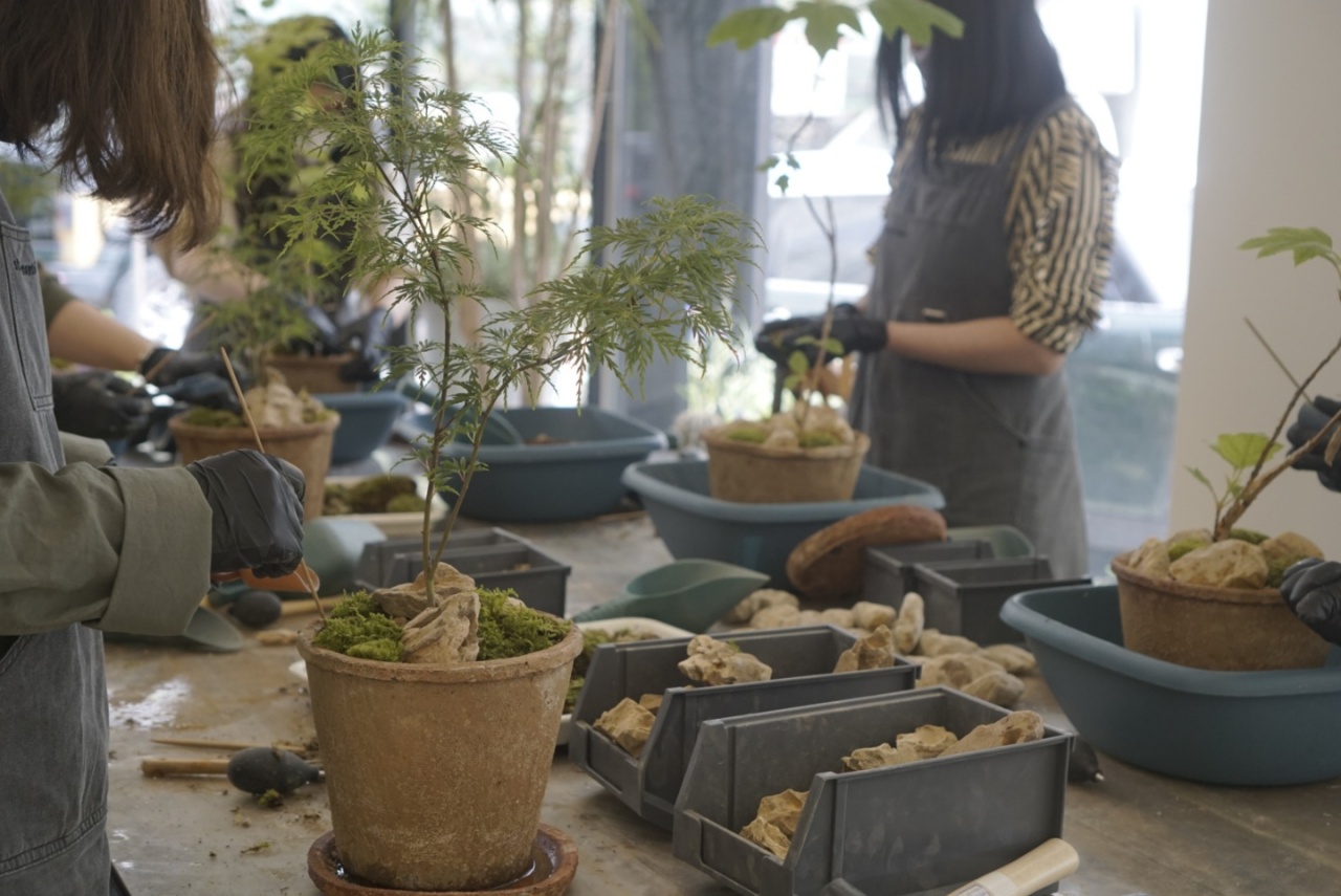 People attend a gardening class at Studio Conte in Gyeonggi Province in May. (Studio Conte)
