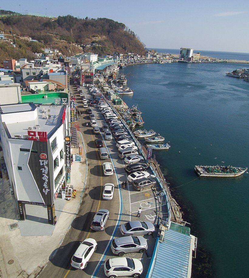 경북 영덕 강구항 [연합]