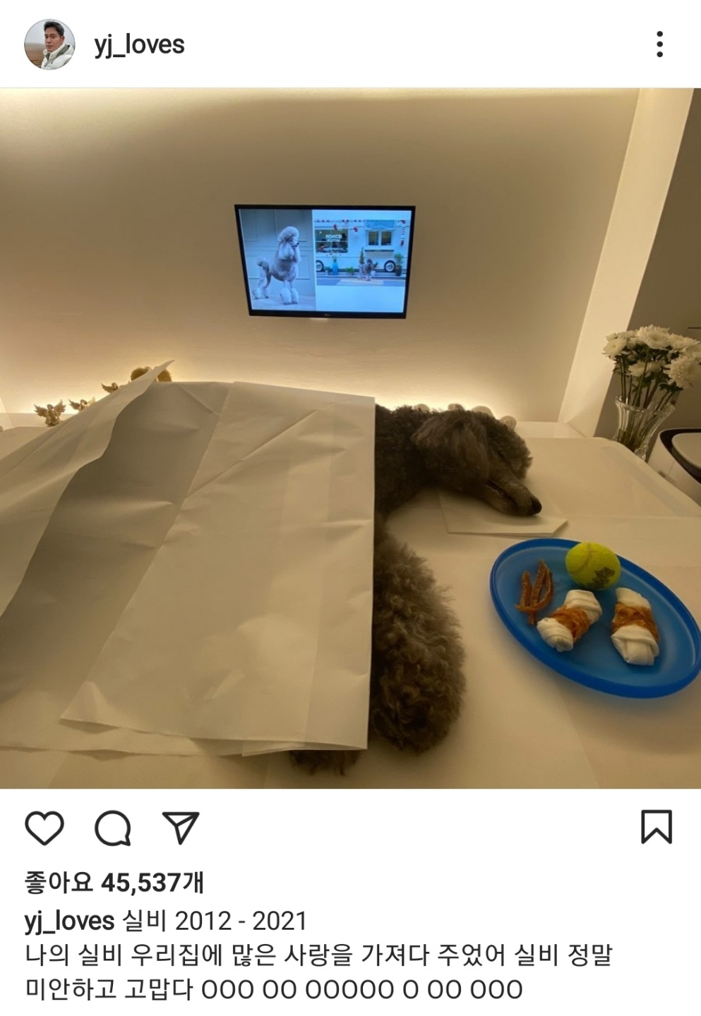 [정용진 신세계그룹 부회장 인스타그램 캡처]