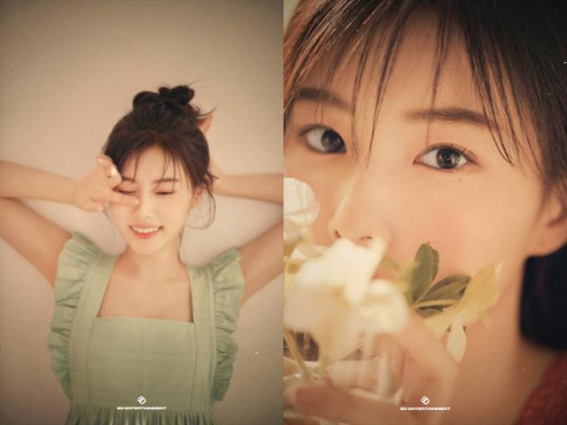(Credit: 8D Entertainment)