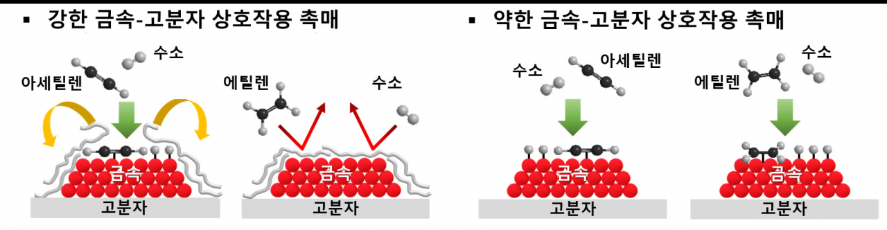 금속-고분자 상호작용에 따른 아세틸렌 및 에틸렌 수소화 반응 모식도. 강한 금속-고분자 상호작용 촉매에서는 고분자 막이 에틸렌의 접근은 막으면서 아세틸렌은 접근할 수 있도록 하지만 약한 금속-고분자 상호작용 촉매에서는 에틸렌과 아세틸렌 모두 금속에 접근할 수 있다. [KAIST 제공]