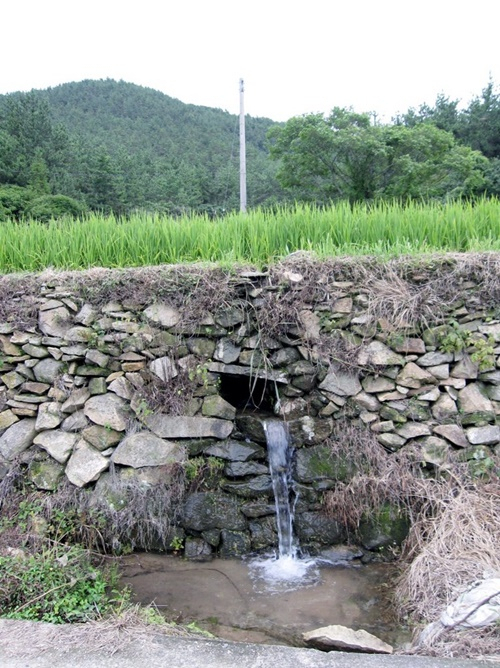 완도군 청산도 구들장 논. [연합]