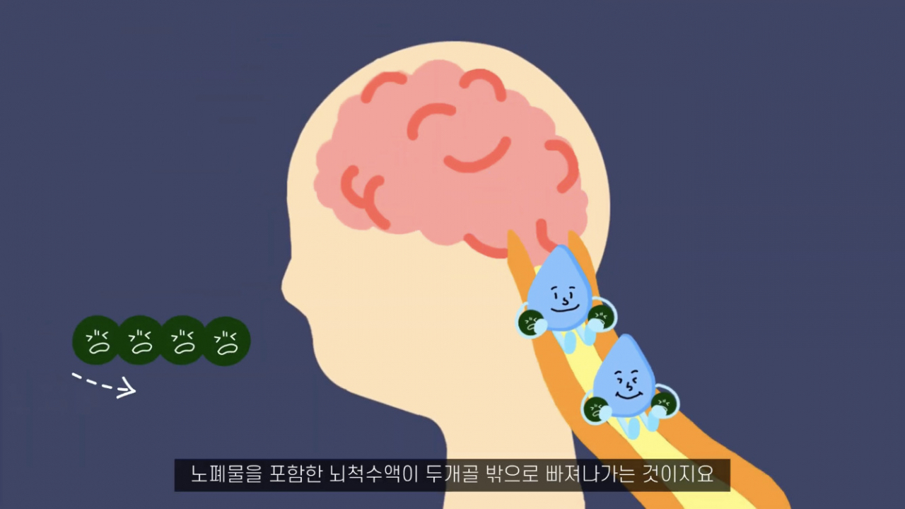 1회 공모전에서 일반부 대상을 차지한 IBS 혈관연구단의 연구성과를 다룬 영상작품 '찾았다 뇌 속 하수도, 보인다 치매 치료!' [IBS 제공]