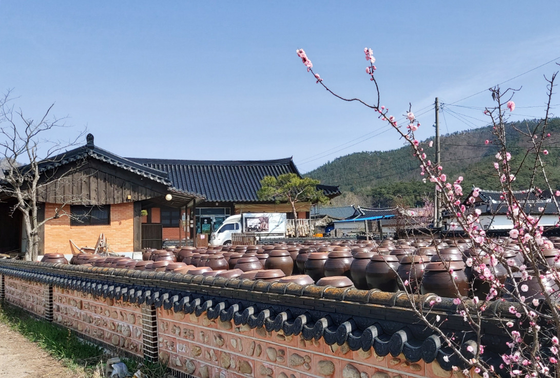 강진 신기바을 영농조합 ‘담가온’