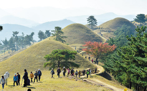 유네스코 세계유산 등재를 추진중인 가야고분군(고령)
