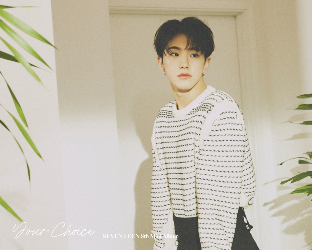 세븐틴 호시 [플레디스 엔터테인먼트 제공]
