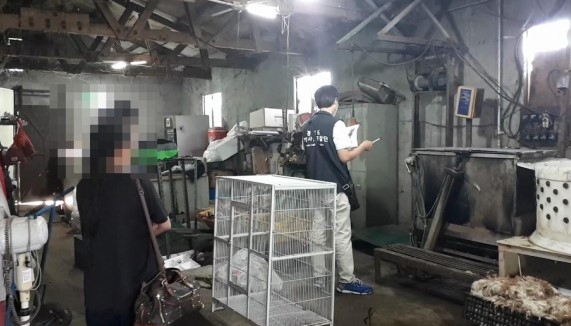 동물 학대 수사. [경기도 제공]