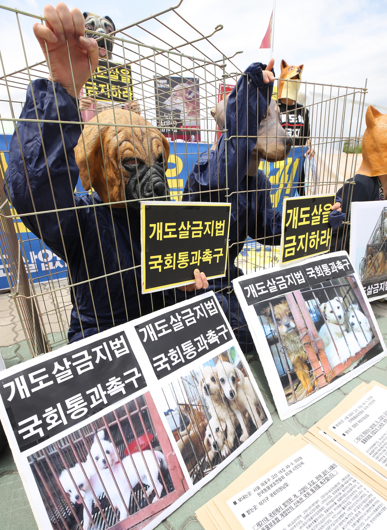 지난 5월26일 서울 여의도 국회 앞에서 열린 개도살 금지법의 신속한 국회통과를 촉구하는 기자회견에서 동물 가면을 쓴 한국동물보호연합 활동가 등이 퍼포먼스를 하고 있다. [연합]