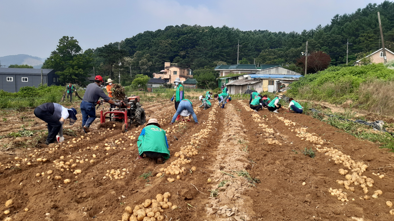 [용인시 제공]