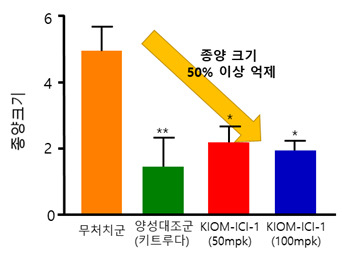 한의기반 면역항암제의 종양 억제 효과.[한국한의학연구원 제공]