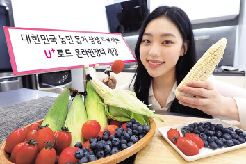 LG유플러스는 오는 29일부터 다음달 16일까지 코로나19 장기화로 어려움을 겪는 전통시장 소비를 활성화하기 위해 ‘U+로드 온라인장터’를 운영한다고 23일 밝혔다. [LG유플러스 제공]