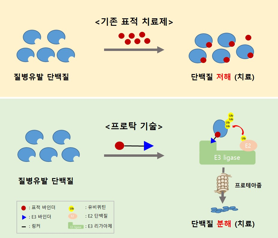 기존 표적 치료제와 프로탁 기술을 활용한 단백질 분해제의 치료기전 비교.[한국화학연구원 제공]