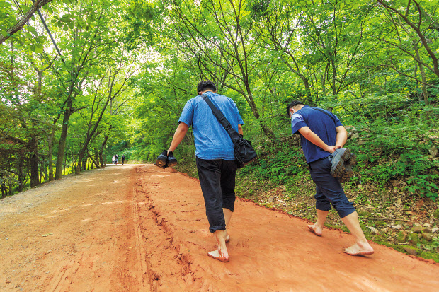 계족산 맨발등산