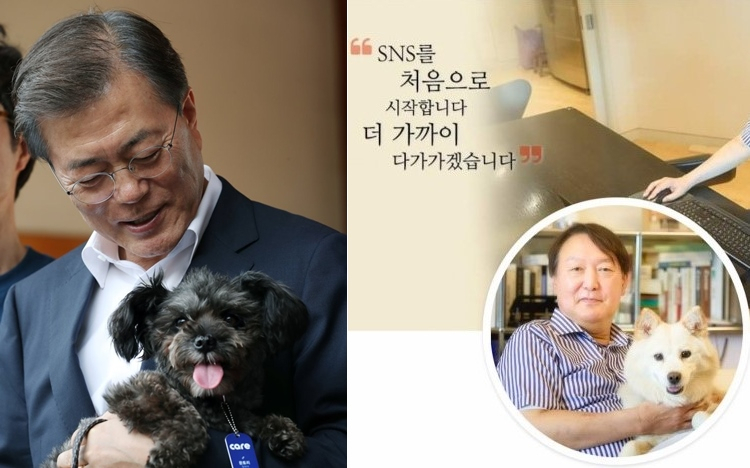 문재인 대통령의 반려견 ‘토리’와 윤 전 총장이 반려견 ‘토리’와 함께 찍어 페이스북 계정에 올린 사진. [연합]