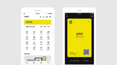 카카오톡 지갑 [카카오]